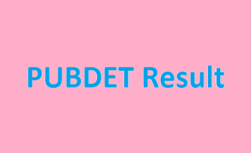 PUBDET Result