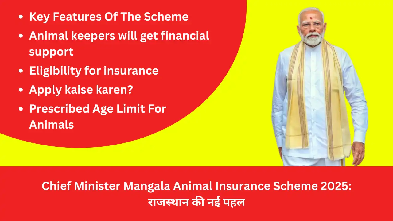 Chief Minister Mangala Animal Insurance Scheme 2025 New initiative of Rajasthan